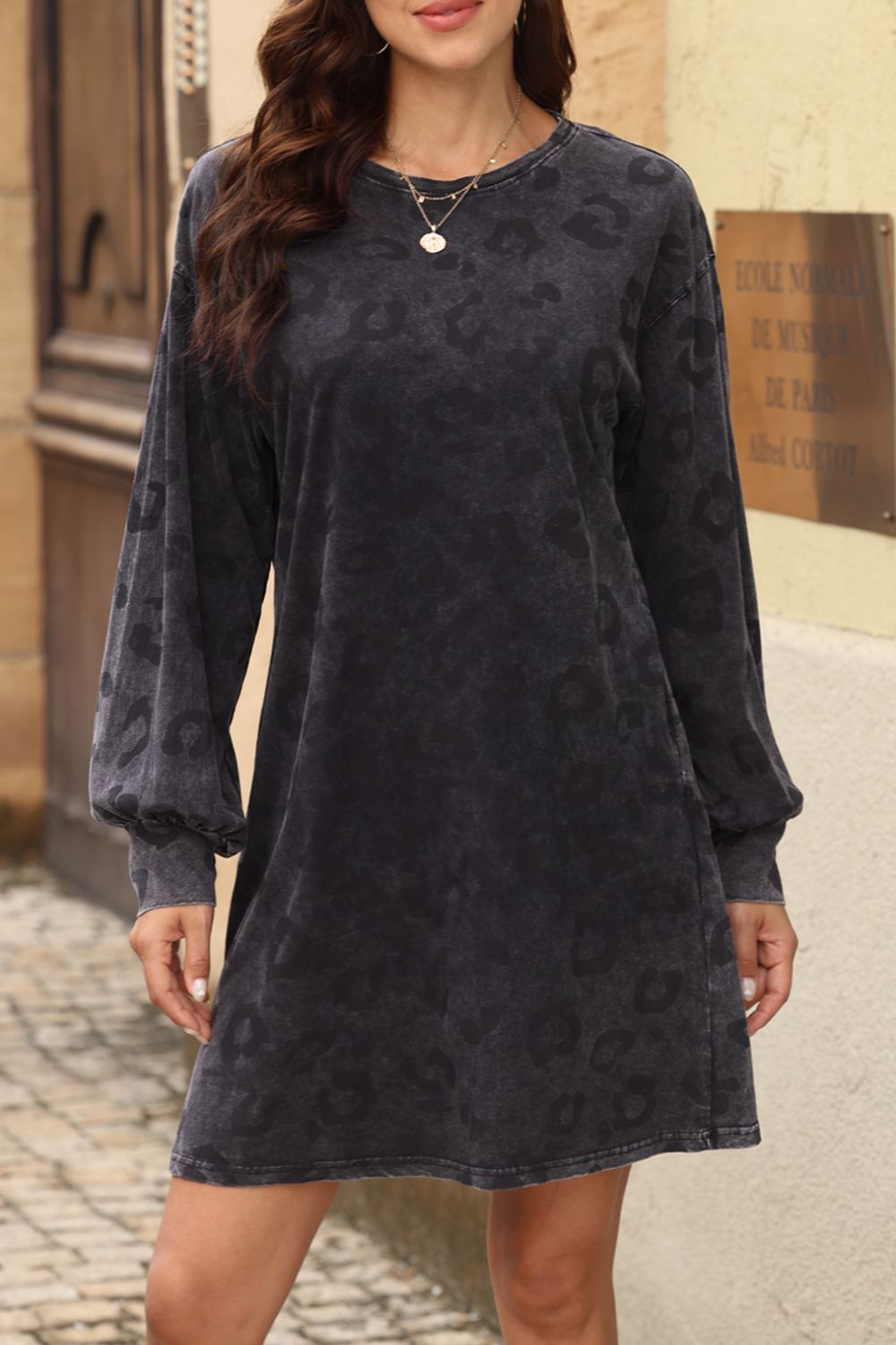 Leopard Round Neck Long Sleeve Dress